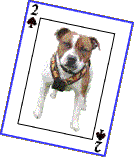 Duece of Spades.