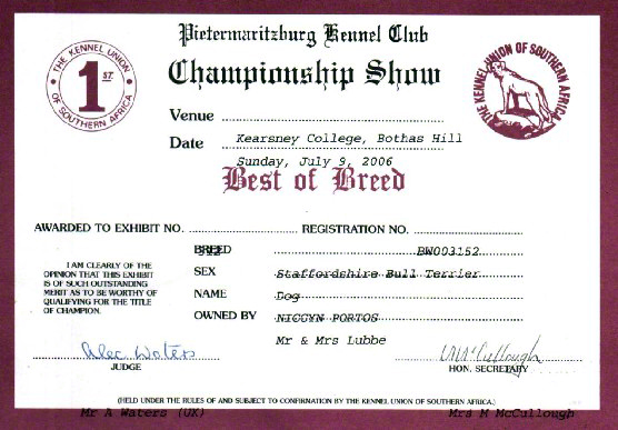 Best of Breed Certificate