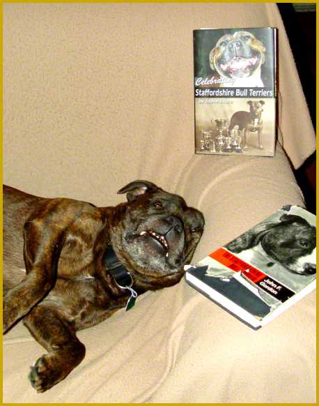 Rugar falling asleep after reading his two favorite Stafford Books.