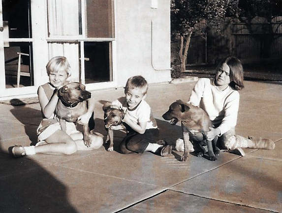 Brutus & Bella with kids.