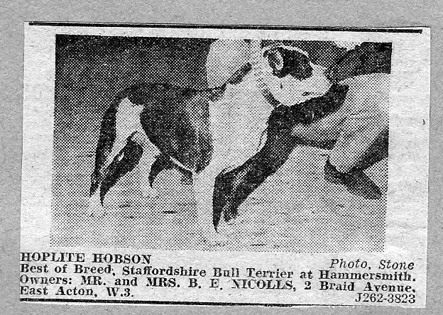 Hoplite Hobson winning BOB at Hammersmith.