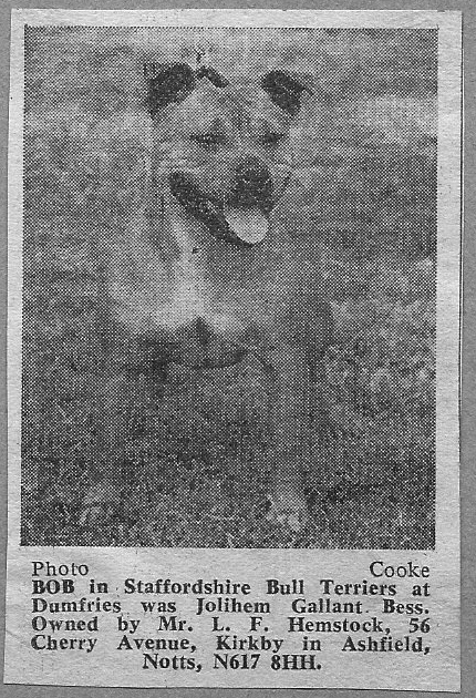 Jolihem Gallant Bess winning BOB at Dumfries.