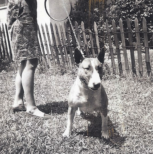 Moonshiner of La Mirada (Bernie).