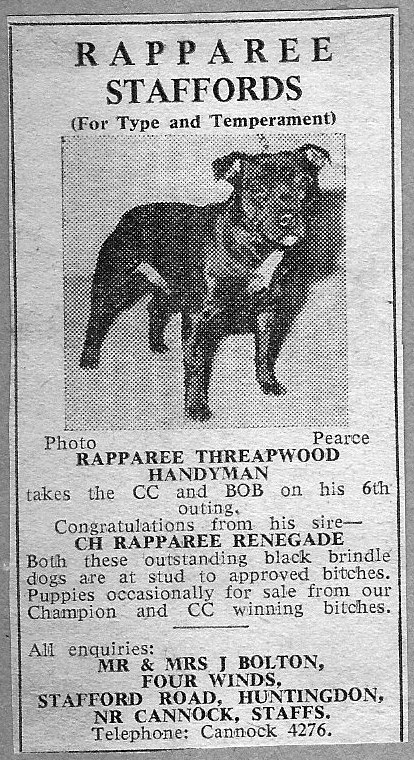 Rapparee Staffords advertisement.