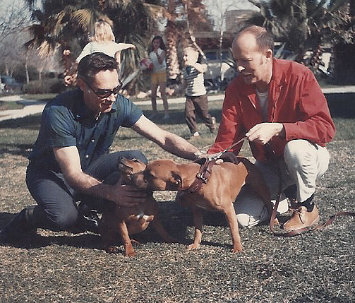 Red & another dog.