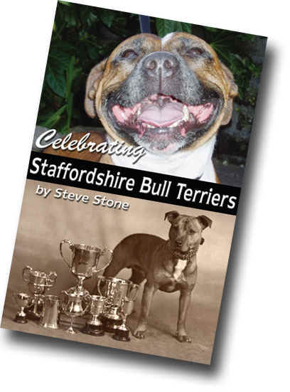 Steve Stone's Book Cover