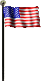 USA Flag