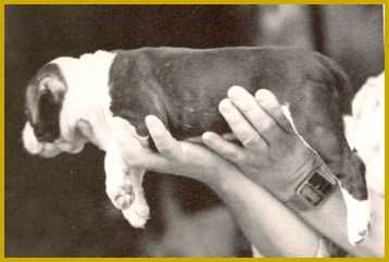 Carolyn holding puppy.