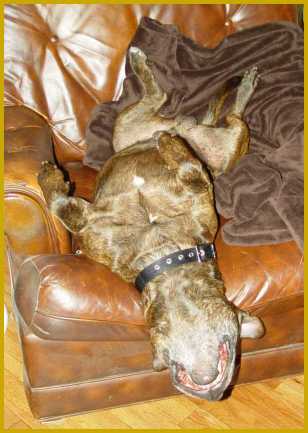 Rugar sort of relaxed.