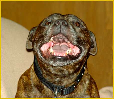 Rugar smiles.