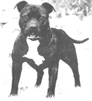 Dillinger.