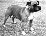 Jolihem Dreadnaught.