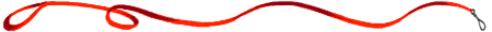 Dog leash gif.