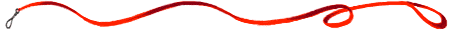 Dog leash gif.