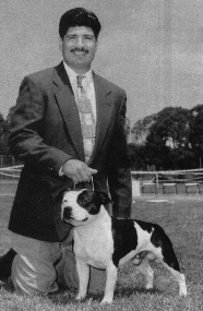 Sterling Sir Buck of Sonshine.