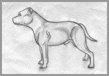 Stafford drawing.