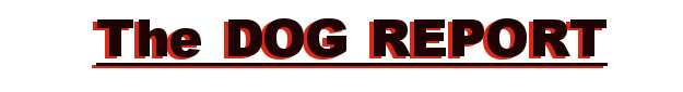 The Dog Report.